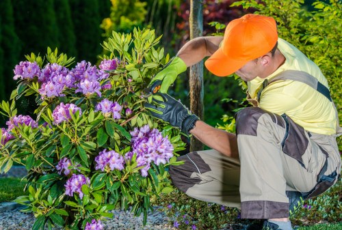 Gardener trimming a hedge in an Ickenham garden