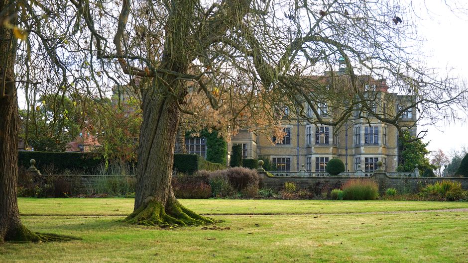 A panoramic view of a landscaped garden with a well-maintained lawn featuring trimmed grass, bordered by a variety of shrubs and bushes. In the foreground, two mature trees with textured bark and low-